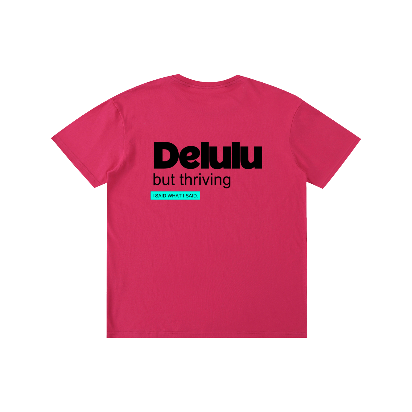 Delulu: Pure Cotton Unisex T-Shirt